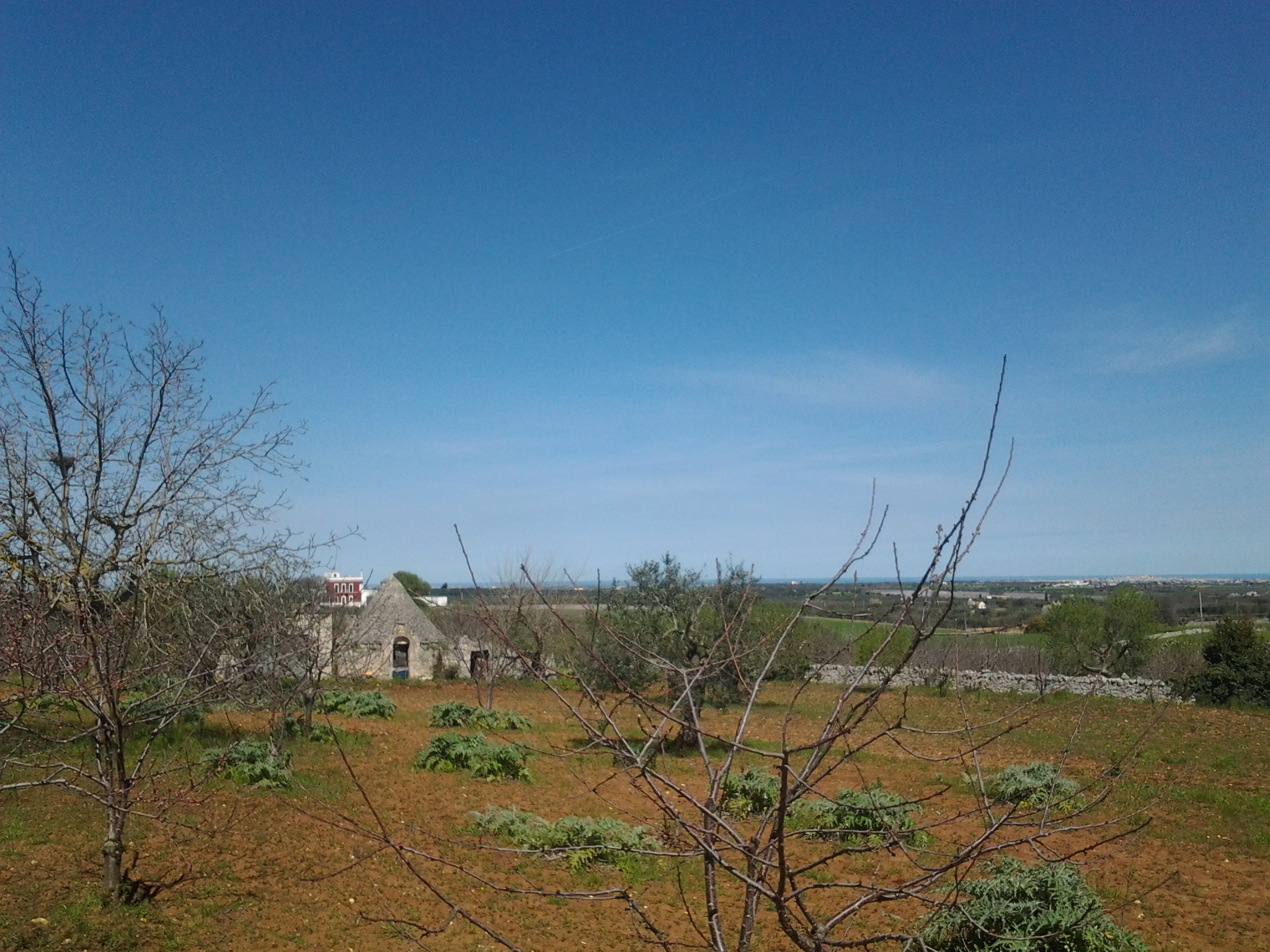 Tra Conversano e Putignano Trullo Con Annesso Deposito e Terreno